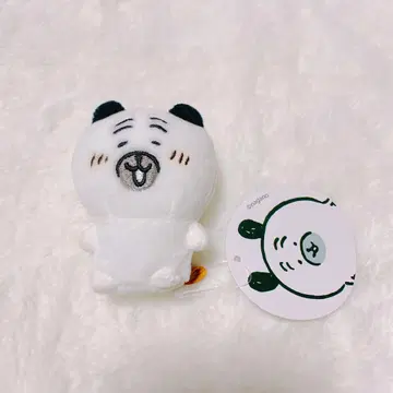 나가노의 곰 퍼그 씨 미니미니 앉은 봉제인형 마스코트