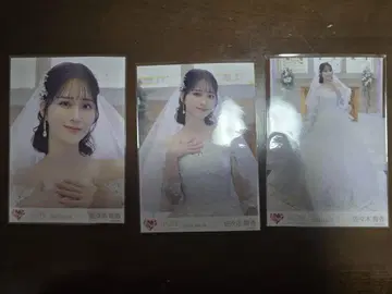 사사키 마이카 브로마이드 컴플리트