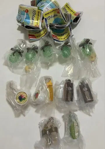 하와이 기념품 미니어처 컬렉션 2 가챠 호놀룰루 쿠키