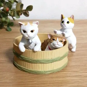 고양이 3마리 타카하시 씨네 오케네코와 탓치코네코