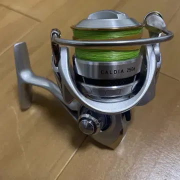 다이와 칼디아 DAIWA CALDIA 2506