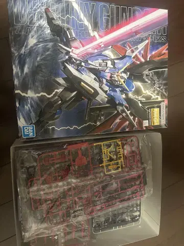 MG 데스티니 건담