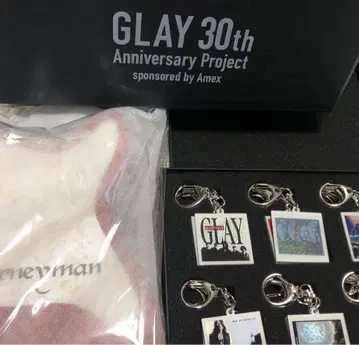 GLAY x Amex 아멕스 키링 컴플리트 기타 모양 백