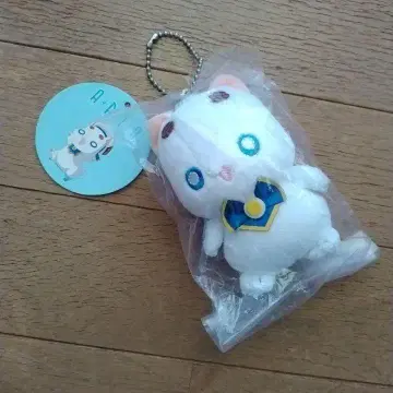 ARIA 아리아 사장 봉제 인형 마스코트 아마노 코즈에