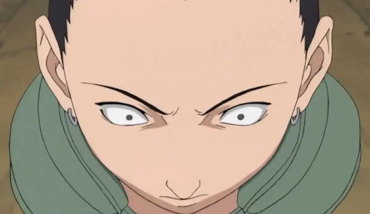 A book about organizing for people who can't organize