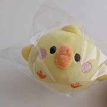 BTS 지민 병아리
