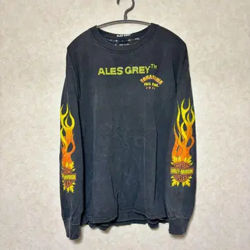 ALES GLAY Harley-Davidson 롱T M 사이즈