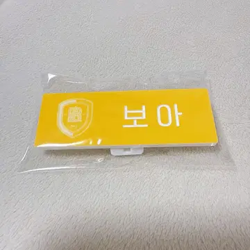 SMTOWN LIVE 2025 랜덤 네임 배지
