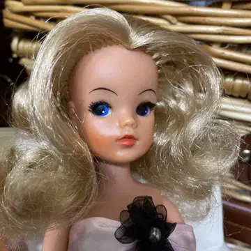플립 헤어 신디 짱