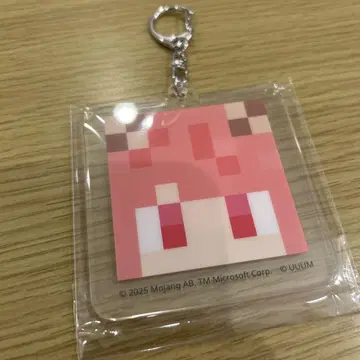 컬러풀피치 노아 아크릴 키링