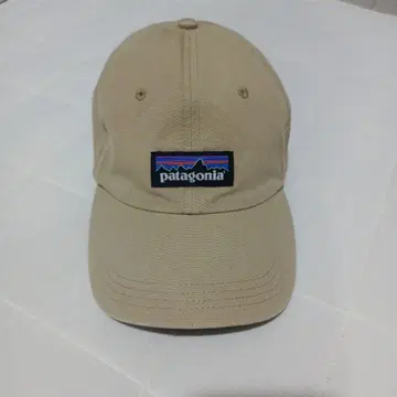 patagonia 베이지 캡