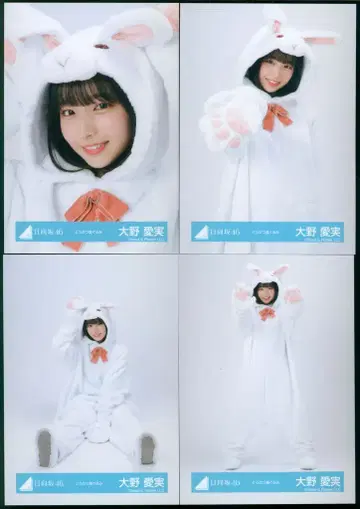 히나타자카46 2025년 랜덤 브로마이드 오오노 마나미 동물 인형옷 컴플