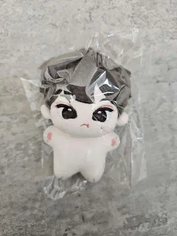 ENHYPEN 선우 봉제 인형