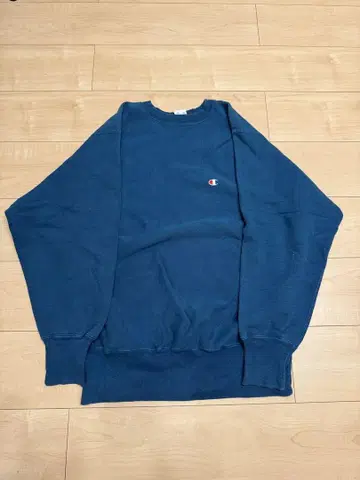 Champion Reverse Weave 챔피온 리버스 위브