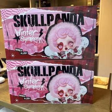 2 BOX POPMART SKULLPANDA 어소트 박스