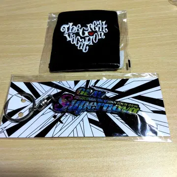 GLAY 투어 굿즈