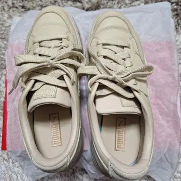 PUMA 플랫폼 스니커즈 크림