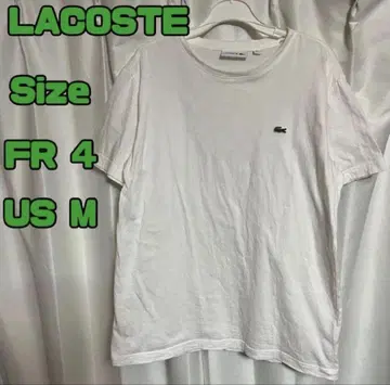 LACOSTE 라코스테 반팔 T셔츠 화이트 남성용 FR4 USM