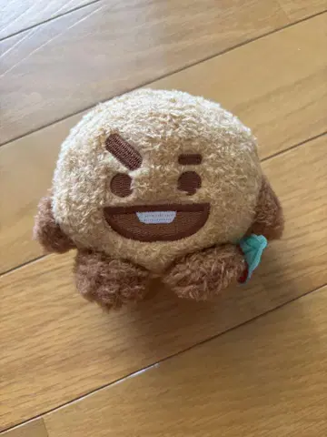 BT21 슈키 shooky 후르츠 콩인형
