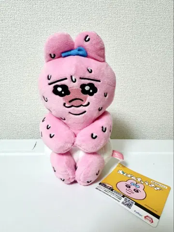 [ 새상품 미사용 ] 빤쮸토끼 봉제 인형