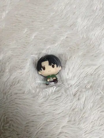 리바이 쵸코놋코