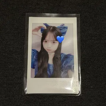캔츄 마스다 아야노 옹특 파랑조 빙고 프린트 폴라로이드
