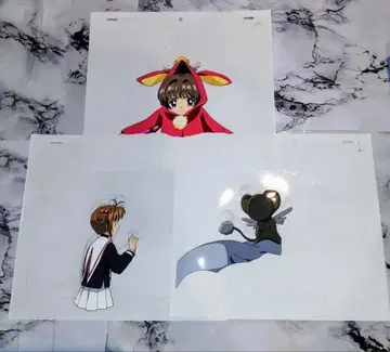 카드캡터 사쿠라 셀화 사쿠라 짱 케로 짱 3장 세트