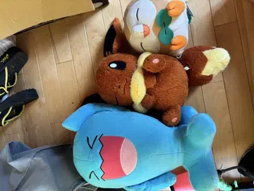 포켓몬 봉제 인형
