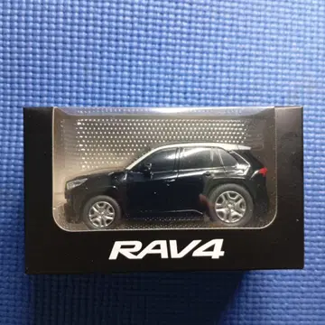 도요타 RAV4 어드벤처 미니카 블랙 화이트