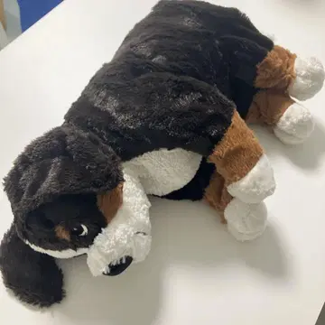 IKEA 이케아 버니즈 마운틴 도그 버니즈 봉제 인형 강아지