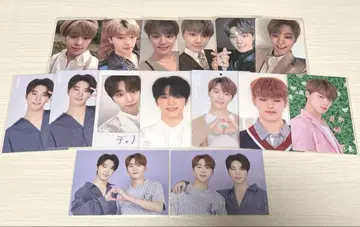 SEVENTEEN 디노 트레카