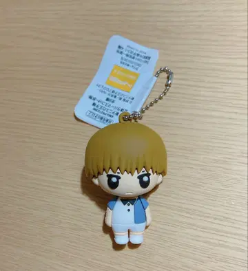 신 테니스의 왕자님 히요시 와카시 입체 러버 마스코트