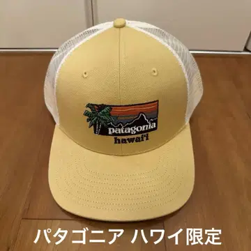 한정판 Patagonia 파타고니아 메쉬 캡 하와이