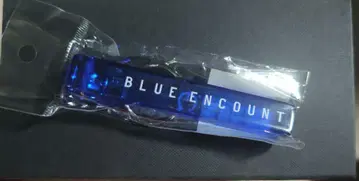 BLUE ENCOUNT 키링