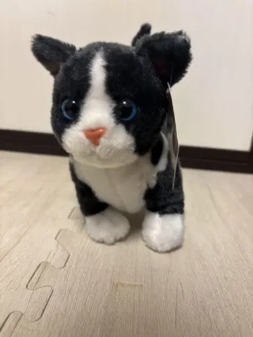 블랙 화이트 고양이 봉제 인형