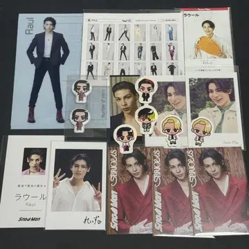 SnowMan 라울 폴라로이드풍 카드 스티커 스노치루