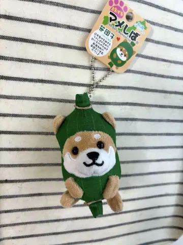 여행하는 마메시바 사사당고 니가타 한정판 신 버전 봉제 인형 마스코트