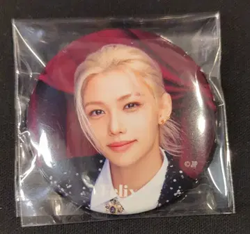 StrayKids 2024 109 XMAS POP UP 필릭스 캔뱃지 B