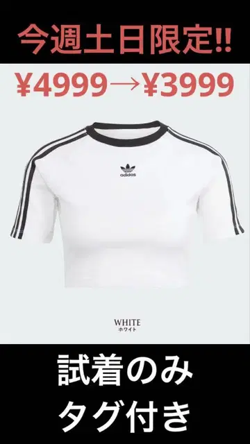 adidas 크롭 T셔츠 반팔 화이트 S