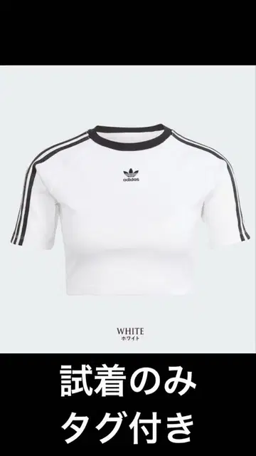 adidas 크롭 T셔츠 반팔 화이트 S