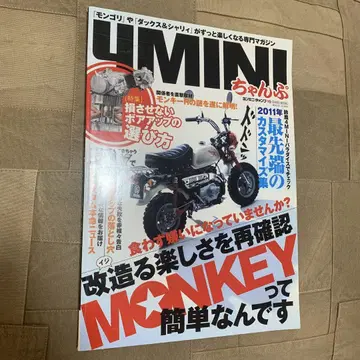 4MINI 챰프 19 이치부터 알 수 있는 몽키 만지기/보아