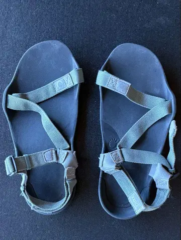 Xero Shoes 스포츠 샌들 Z-트렉2 포레스트