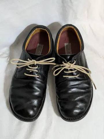 REGAL Walker JJ23
