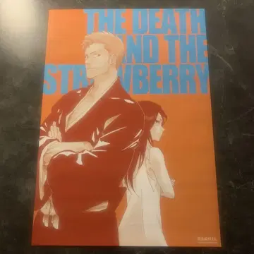 쿠로사키 이치고 후목 루키아 BLEACH EX. 오리지널 포스터