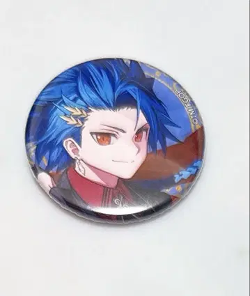 FGO 페스 2025 영기소환 캔뱃지 세탄타