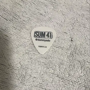 sum41 기타 피크