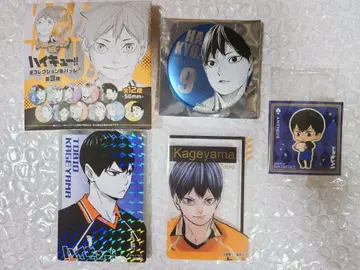 하이큐 팬 파크 데컬렉션 캔뱃지 카게야마 토비오