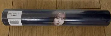 노기자카46 box NOGI 2024 A/W A상 A3 포스터 사토 리카
