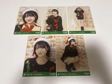 노기자카46 하야시 루나 2022 Christmas 개인 브로마이드
