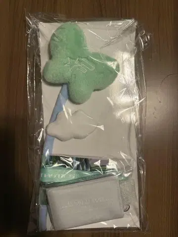 CRAWLNG BUTTERFLY 1일차